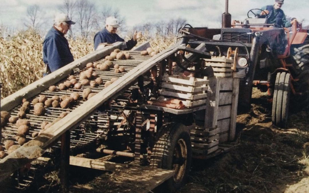 Growing Organic Seed Potatoes at Ellenberger Organic Farm